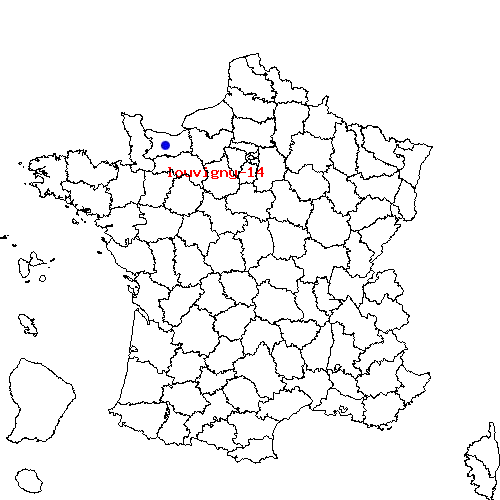 localisation sur le carte de louvigny-14 