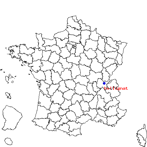 localisation sur le carte de bellignat 