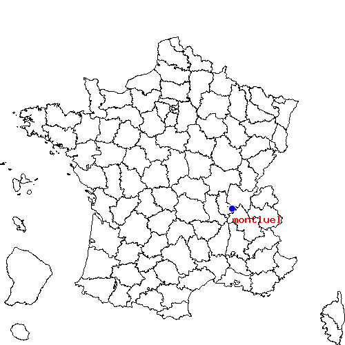 localisation sur le carte de montluel 