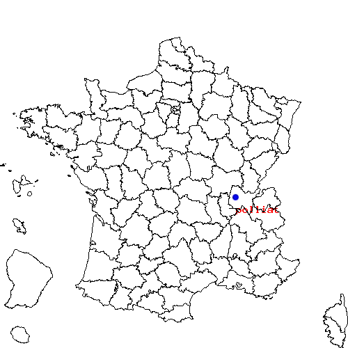 localisation sur le carte de polliat 