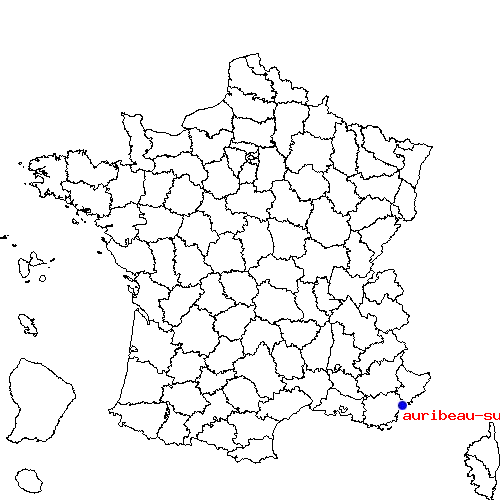 localisation sur le carte de auribeau-sur-siagne 