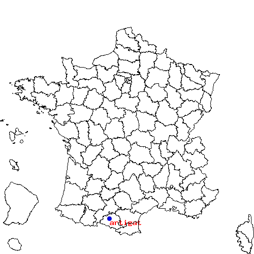 localisation sur le carte de artigat 