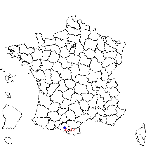 localisation sur le carte de foix 