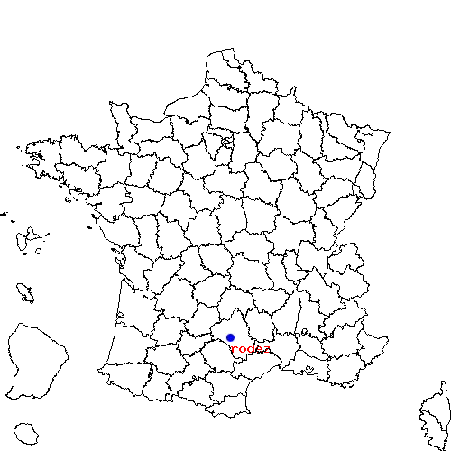 localisation sur le carte de rodez 