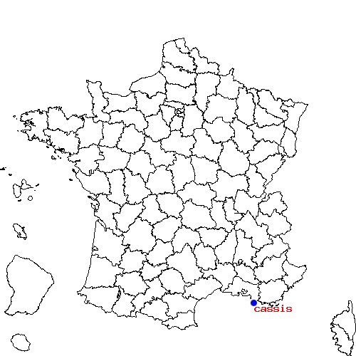 localisation sur le carte de cassis 