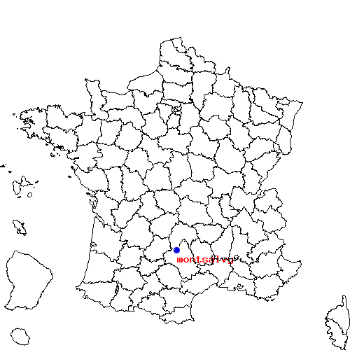 localisation sur le carte de montsalvy 