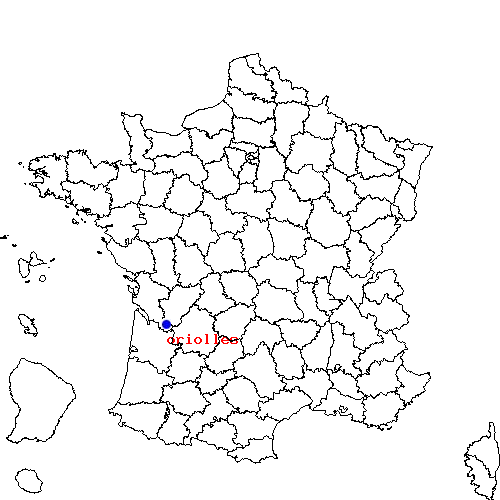localisation sur le carte de oriolles 