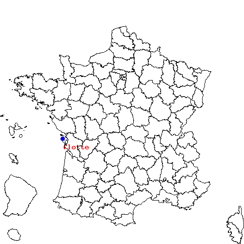 localisation sur le carte de flotte 