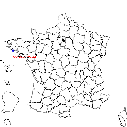 localisation sur le carte de concarneau 