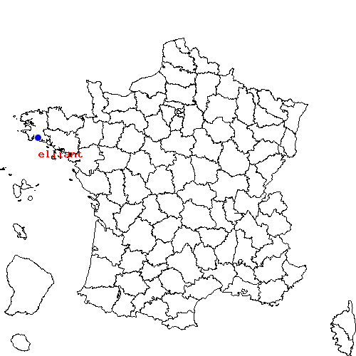 localisation sur le carte de elliant 