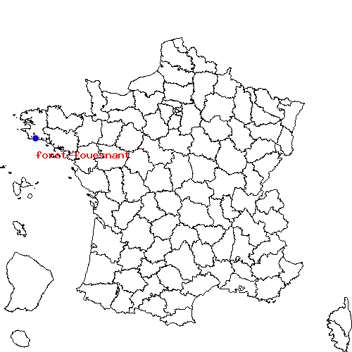 localisation sur le carte de foret-fouesnant 