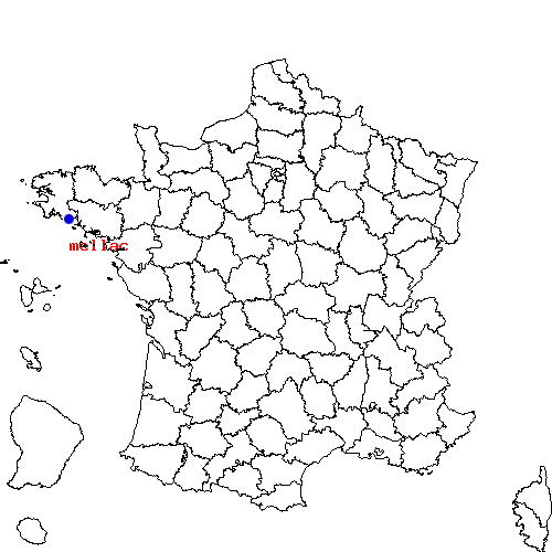 localisation sur le carte de mellac 