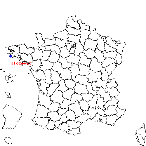 localisation sur le carte de plozevet 