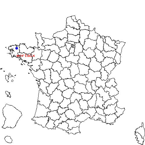 localisation sur le carte de morlaix 