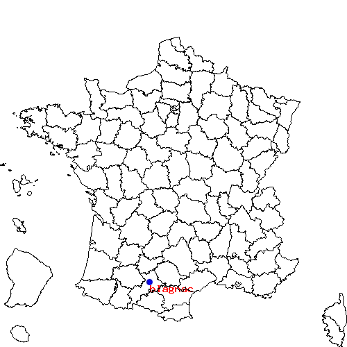 localisation sur le carte de blagnac 