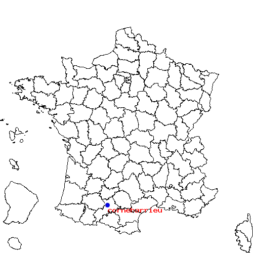 cornebarrieu sur la carte de France localisation sur le carte de cornebarrieu