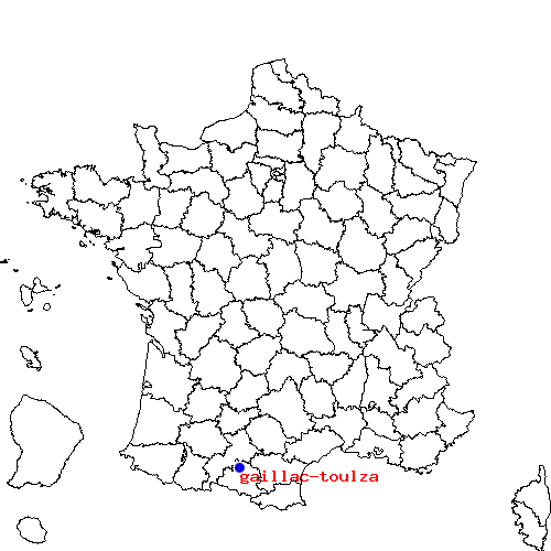 localisation sur le carte de gaillac-toulza 