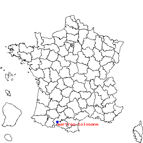 localisation sur le carte de martres-tolosane 