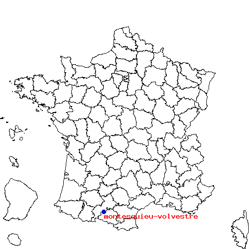 localisation sur le carte de montesquieu-volvestre 