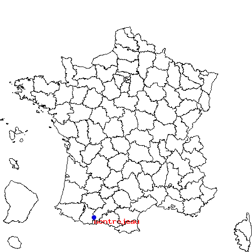 localisation sur le carte de montrejeau 