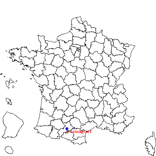 localisation sur le carte de pinsaguel 