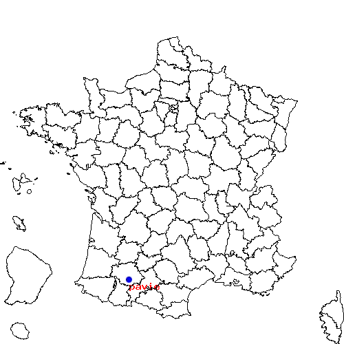 localisation sur le carte de pavie 