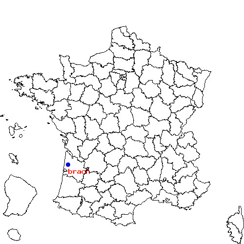 localisation sur le carte de brach 
