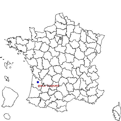 localisation sur le carte de gauriaguet 