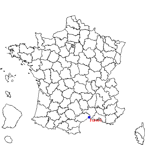 localisation sur le carte de lunel 