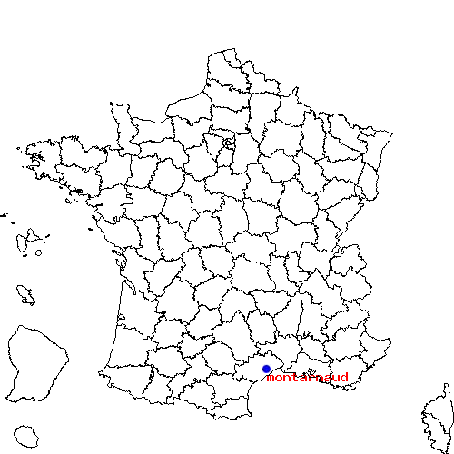 localisation sur le carte de montarnaud 