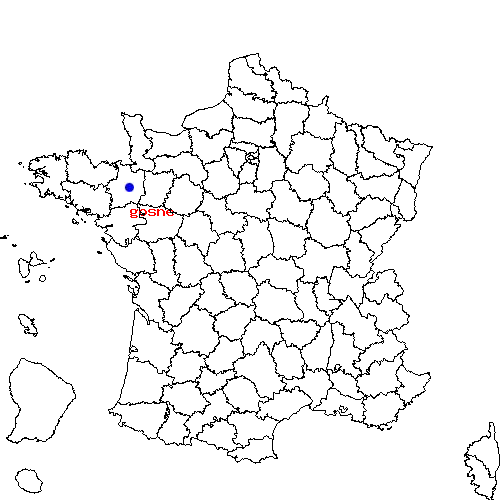 localisation sur le carte de gosne 