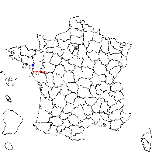 localisation sur le carte de redon 
