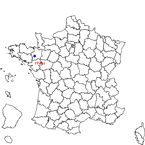 localisation sur le carte de rheu 