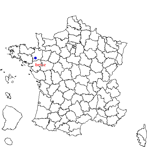 localisation sur le carte de bruz 