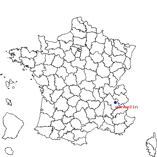 localisation sur le carte de goncelin 