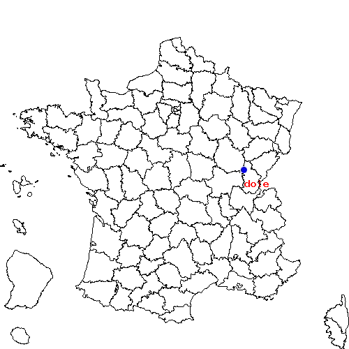 localisation sur le carte de dole 