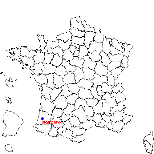 localisation sur le carte de morcenx 