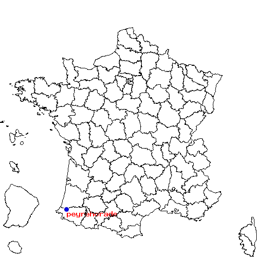 localisation sur le carte de peyrehorade 