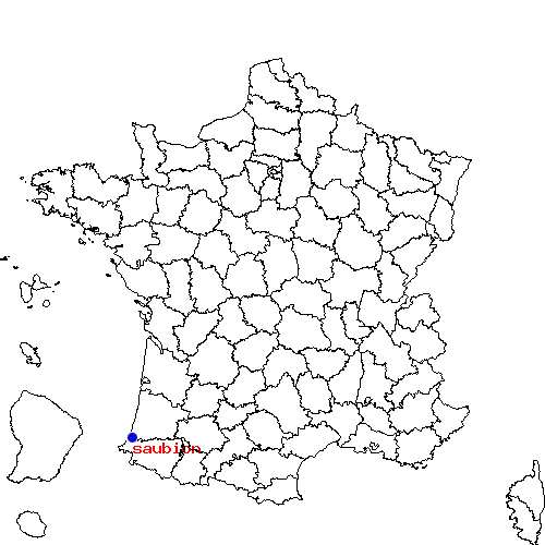localisation sur le carte de saubion 