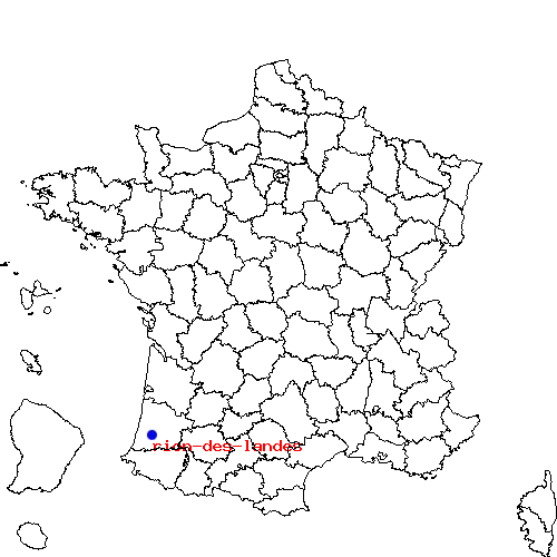 localisation sur le carte de rion-des-landes 