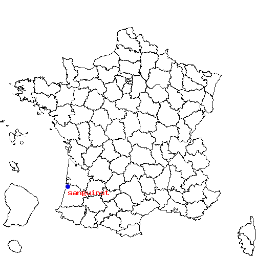 localisation sur le carte de sanguinet 