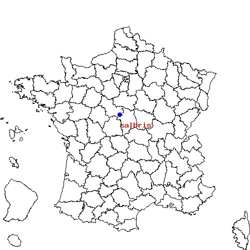 localisation sur le carte de salbris 