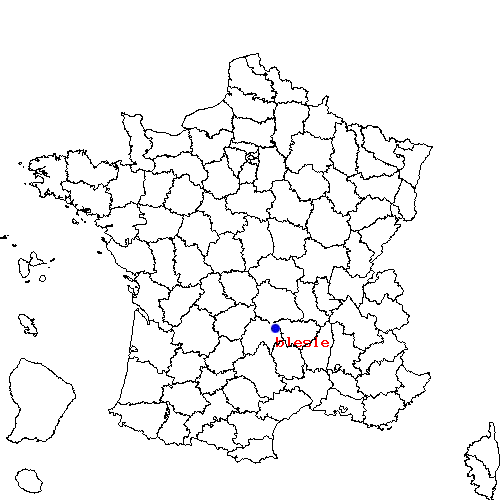 localisation sur le carte de blesle 