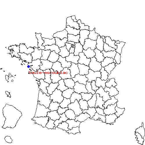 localisation sur le carte de baule-escoublac 