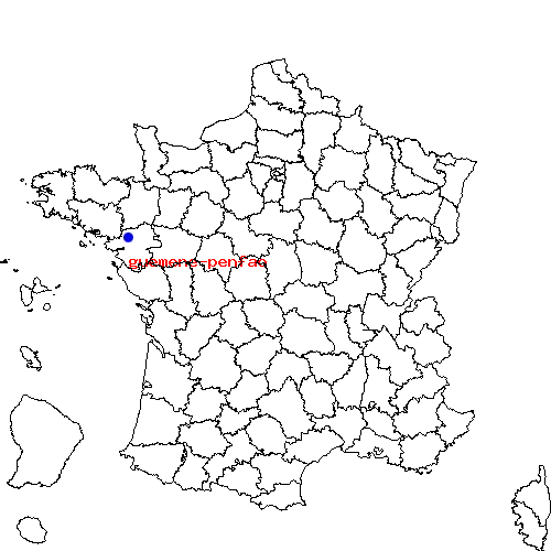 localisation sur le carte de guemene-penfao 
