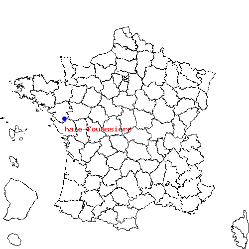 localisation sur le carte de haie-fouassiere 