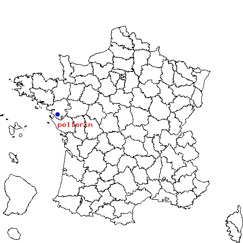 localisation sur le carte de pellerin 