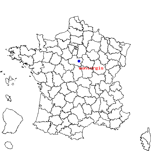 localisation sur le carte de montargis 