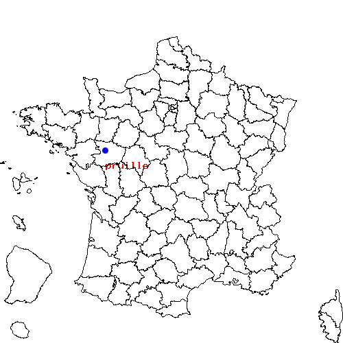 localisation sur le carte de pruille 