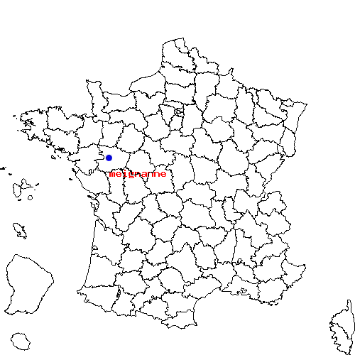 localisation sur le carte de meignanne 